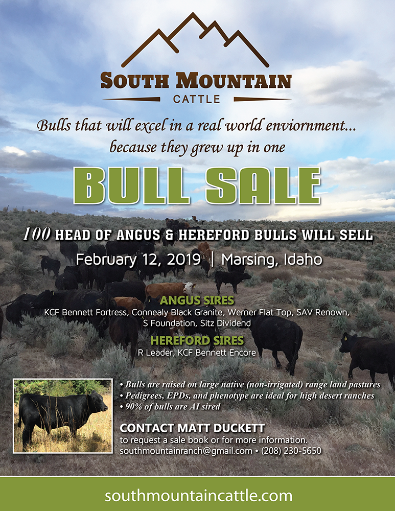 Bull-Sale-Flyer.png